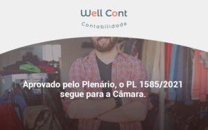 Aprovado Pleno Plenario O Pl 15852021 Segue Para A Camara Well Cont - Well Cont | Contabilidade em Campo Grande - MS