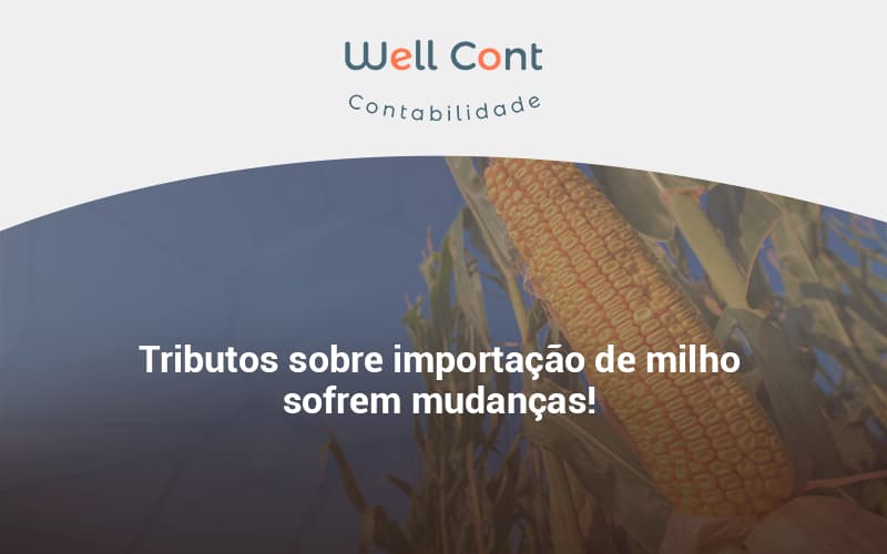 Tributos Sobre Importação De Milho Sofrem Mudanças! Well Cont - Well Cont | Contabilidade em Campo Grande - MS